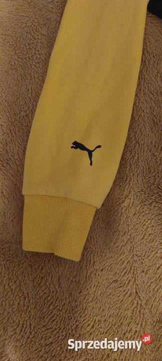 Bluza Puma Porsche Sopot sprzedam