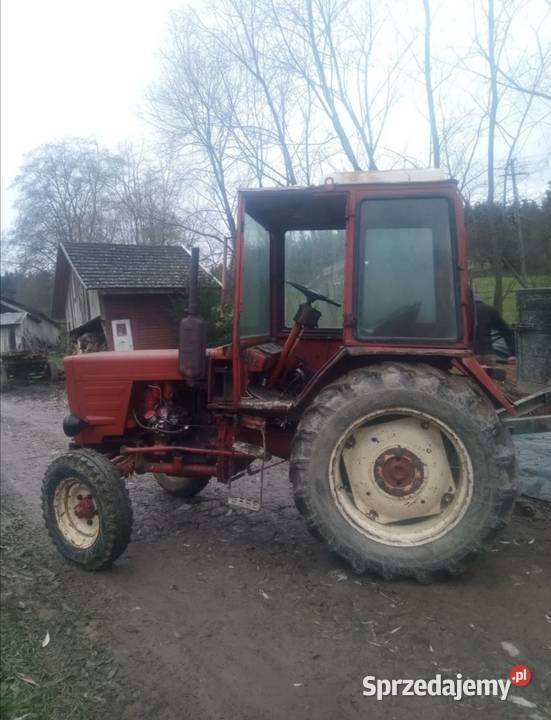 Władimirec t25 rusek Brzana sprzedam