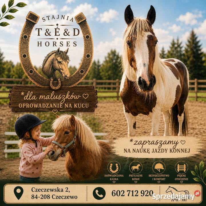 Nauka jazdy konnej Czeczewo sprzedam