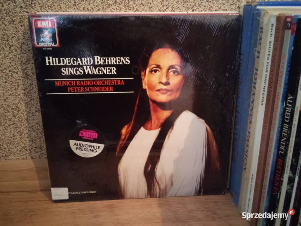 Kolekcja 170 płyt winylowych całość w transzach Włocławek sprzedam