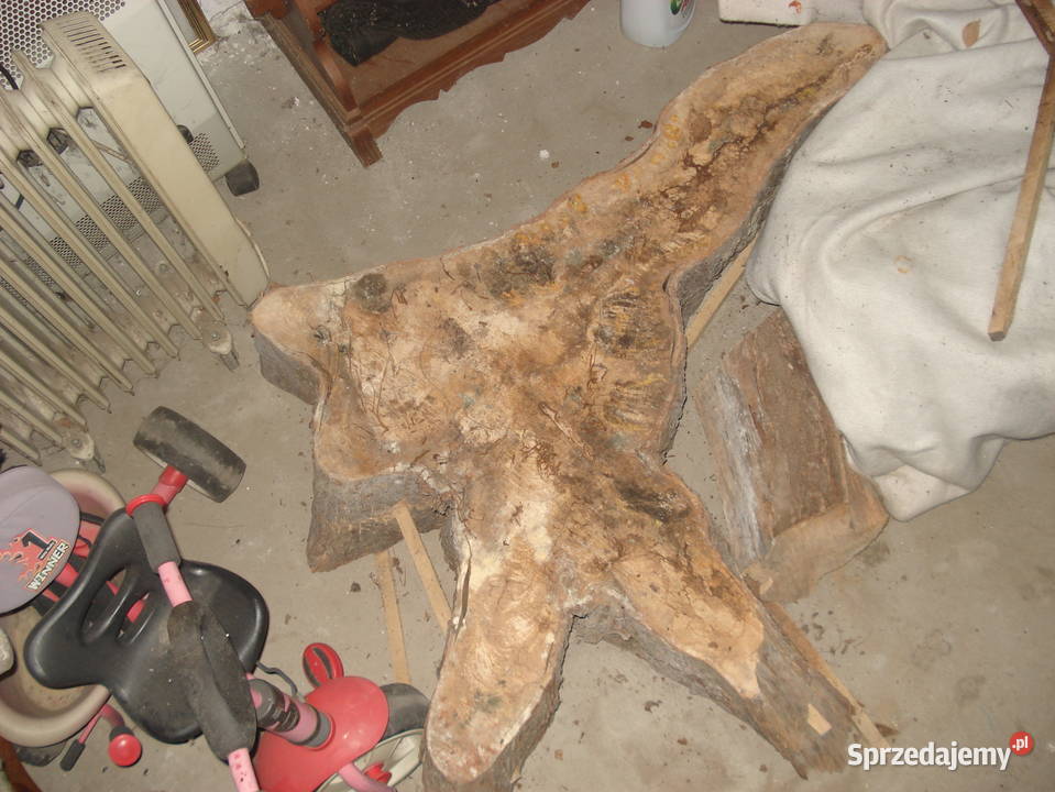 plaster drewna wiąz Biłgoraj sprzedam