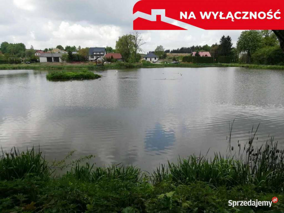 Działka o pow 46 ha w Klementowicach gm Kurów handlowo-usługowa Klementowice sprzedam