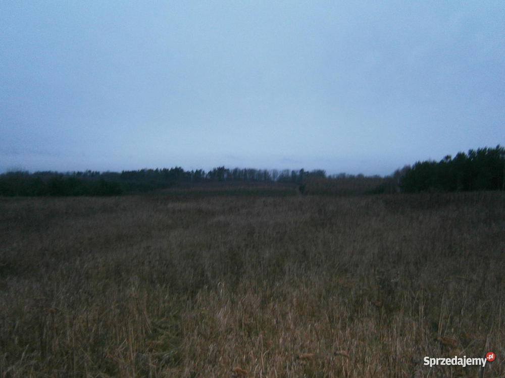 działke siedliskowa uzbrojona 3000m2 w wojewódz pomorskie Dziechlino
