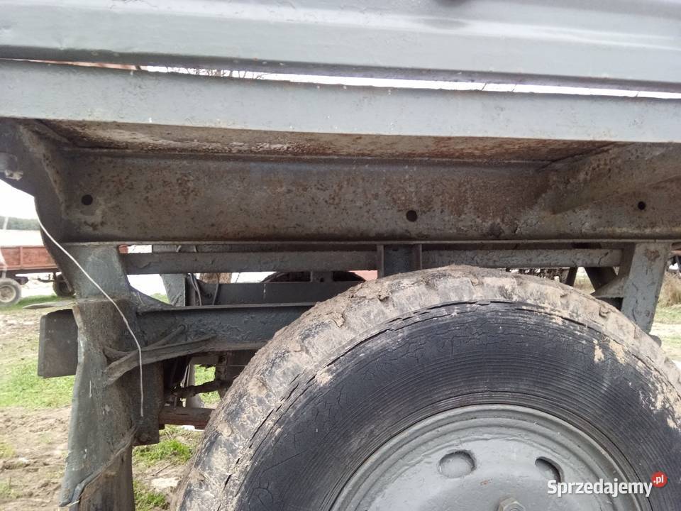 Autosan D50 Żerków