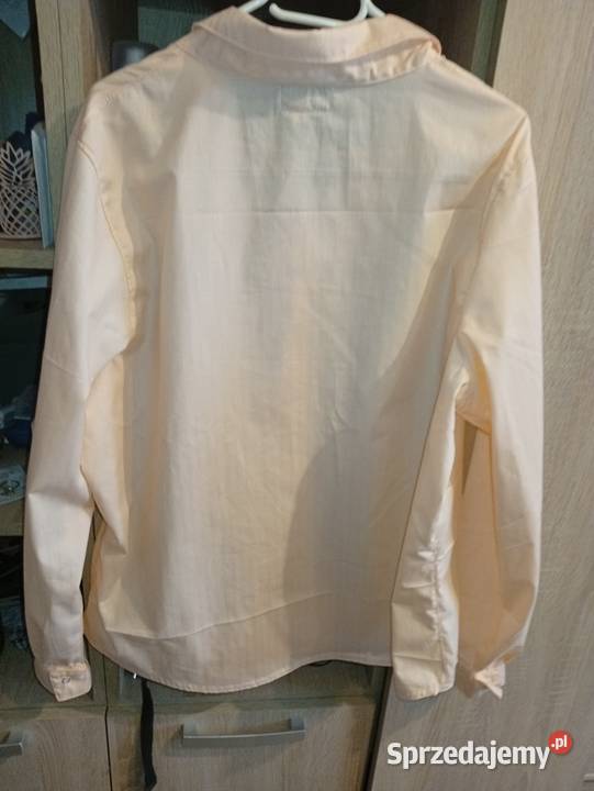 Koszula damska Alina 2 z kołnierzykiem Pyrzyce