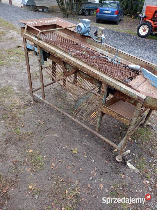 Sortownik elektryczny do ziemniaków nieuszkodzony Sortowniki Radzyń Podlaski sprzedam