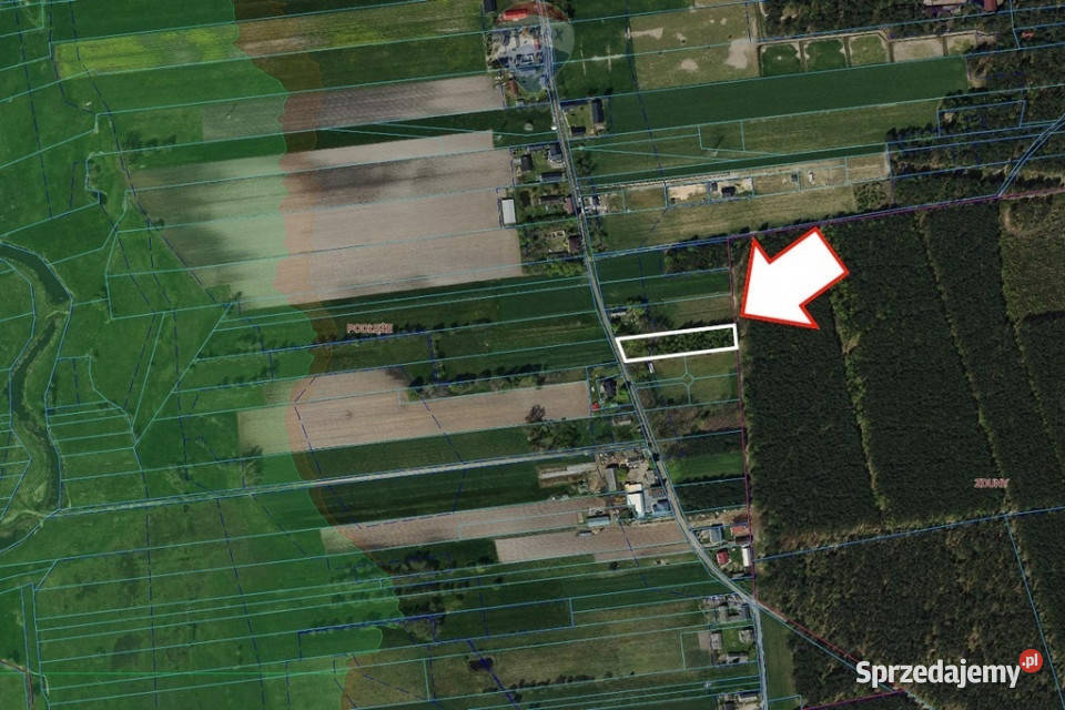 Duża działka 3116 m z WZ w spokojnej okolicy asfalt Podłęże