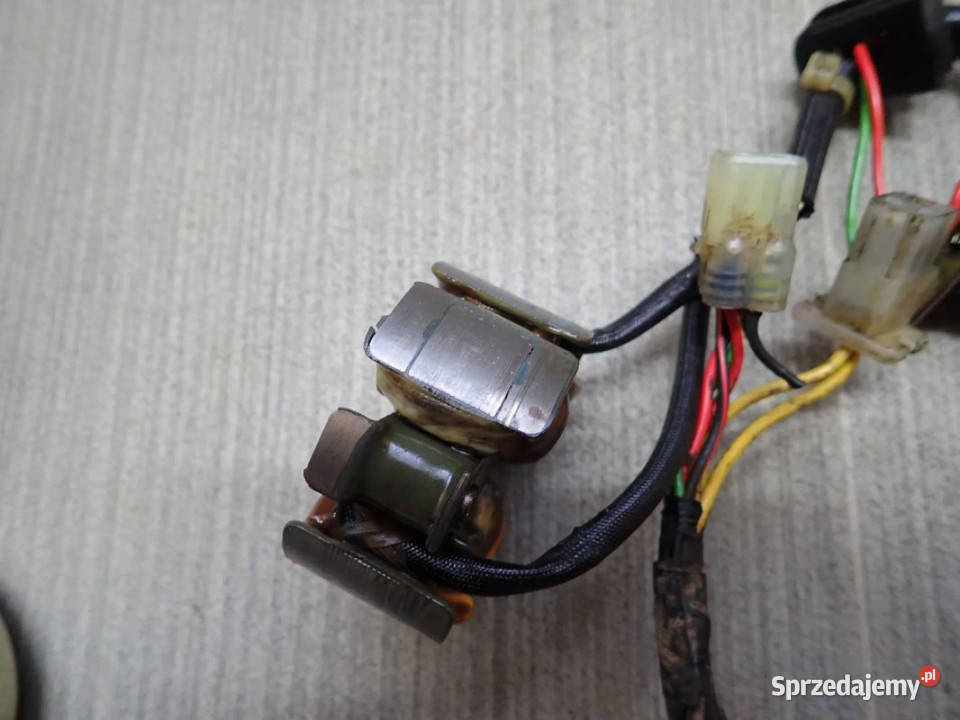 Impulsator Iskrownik Magneto Stator Uzwojenie Strzelce Krajeńskie