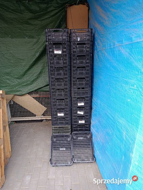 Skrzynki plastikowe wytrzymałe Warszawa