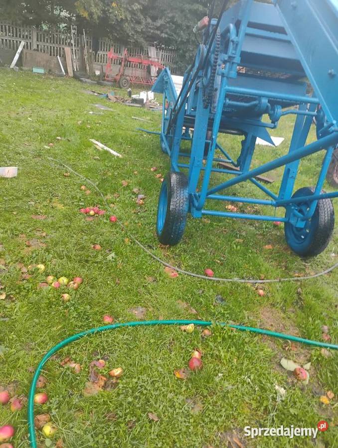 Sortownik do ziemniaków puck nieuszkodzony Pilica