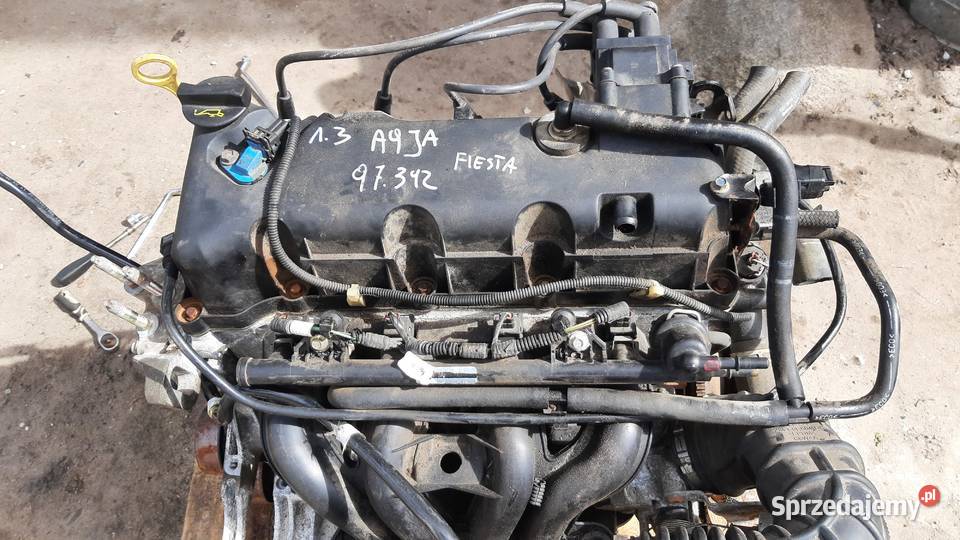 Silnik kompletny 97 13 A9JA Ford Fiesta mk6 osobowe Dębno