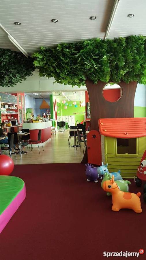 Dochodowa Sala Zabaw do przejęcia
