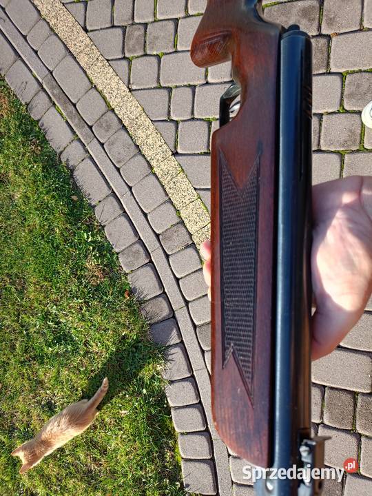 Slavia 631 łódzkie Rząśnia