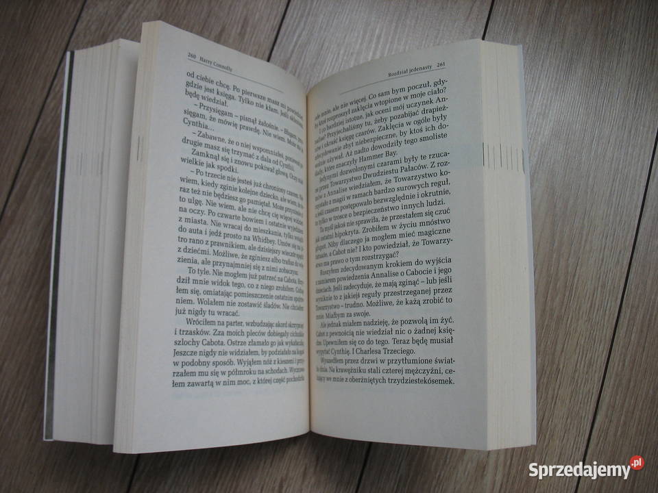 Książka Dziecię ognia autor Harry Connolly Sosnowiec sprzedam