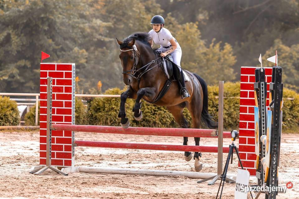 Walach do małego sportu Pruszków