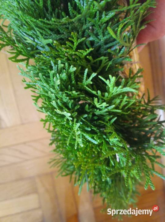 Wianek słomiany z gałązkami