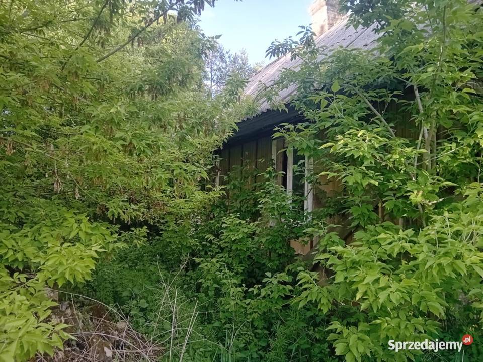 Sprzedam grunty orne z budynkami Czarny Las-Kolonia sprzedam