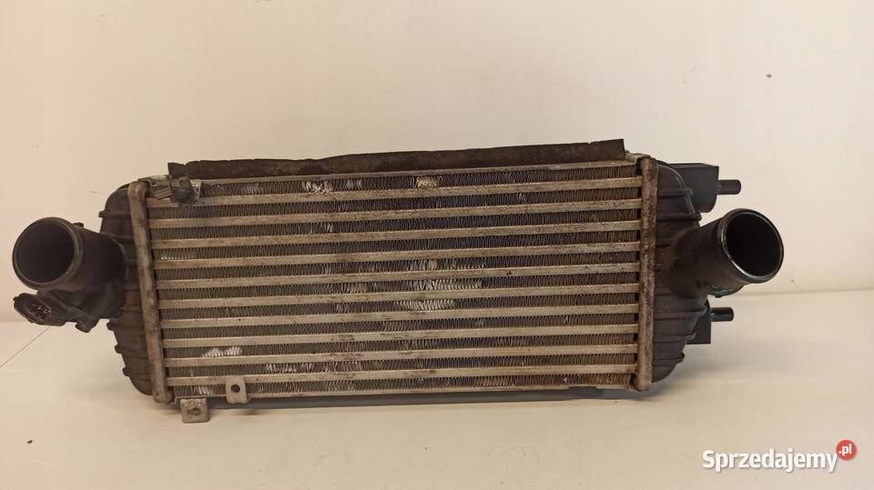 CHŁODNICA INTERCOOLER OPTIMA III 282702A860
