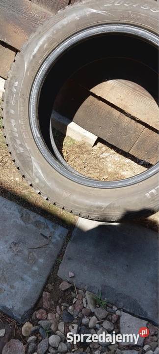 Opona Pirelli podlaskie