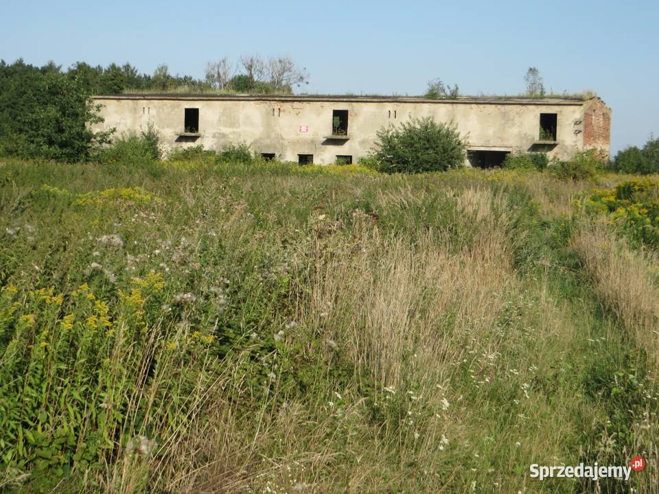 Duża działka 61 arów Jeziorem Inwestycja Byczyna