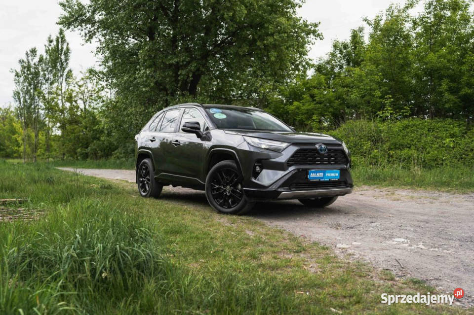 Toyota RAV 4 25 Hybrid elektryczne lusterka Katowice