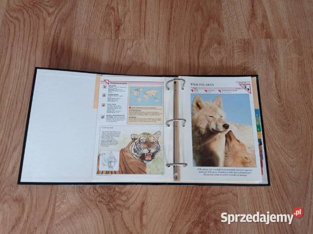 Encyklopedia zwierząt A do Z w segregatorze Chorzów