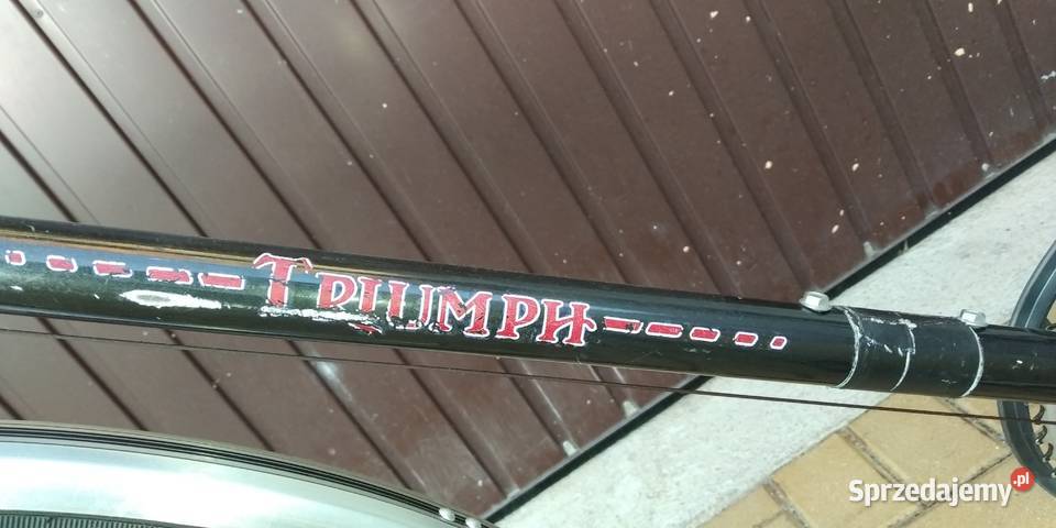 Rower marki triumf28