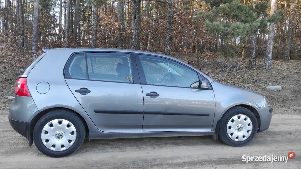 Volkswagen Golf 2004 14 fsi Chodzież