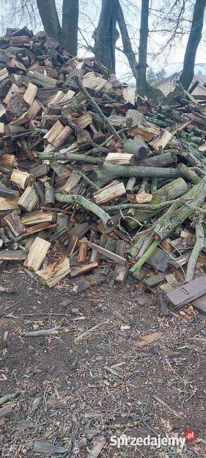 drewno opałowe mix dąb grab sosna brzoza Olchowiec-Kolonia