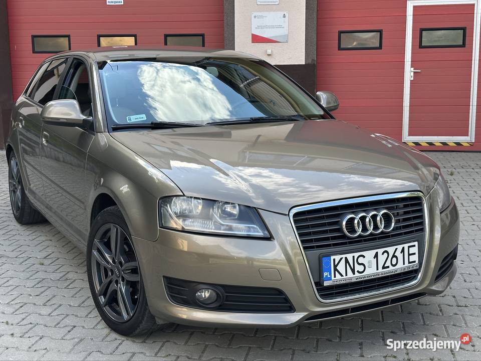 Audi a3 2009 19 tdi 105 lift 19cm3 sprzedam