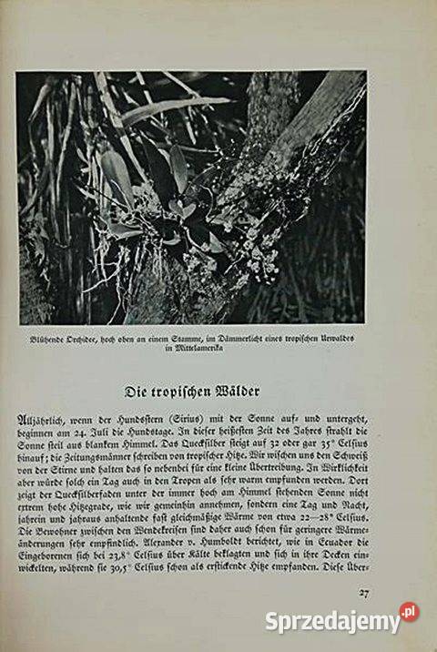 DAS REICH DER TIERE 1937 r Josef Schmid Artur Chorzów