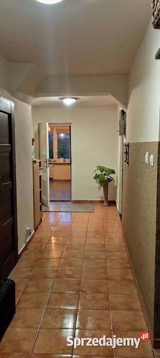 Siedlisko Czernięcin 225 ha dom 148 m 600 000 150m2 Sprzedaż lubelskie Czernięcin Poduchowny