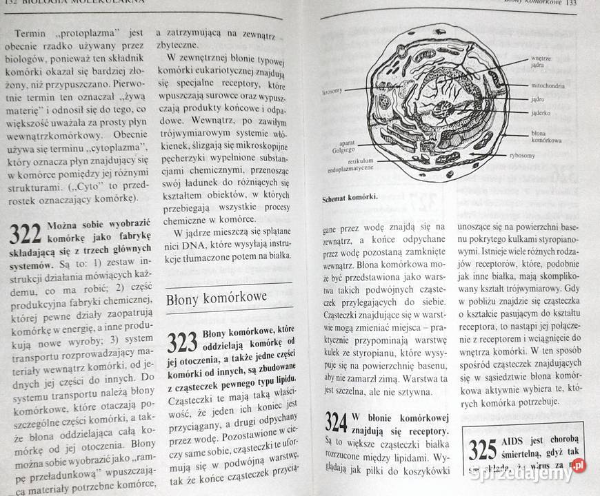 1001 spotkań z nauką James Trefil Chełm