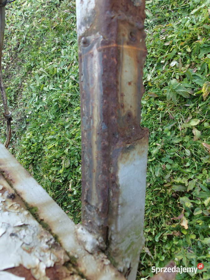 Przyczepa SAM zarejestrowana OC DMC 750 Oświęcim