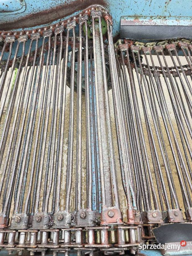 Kopaczka elewatorowa dwurzedowa do ziemniakow Samborzec