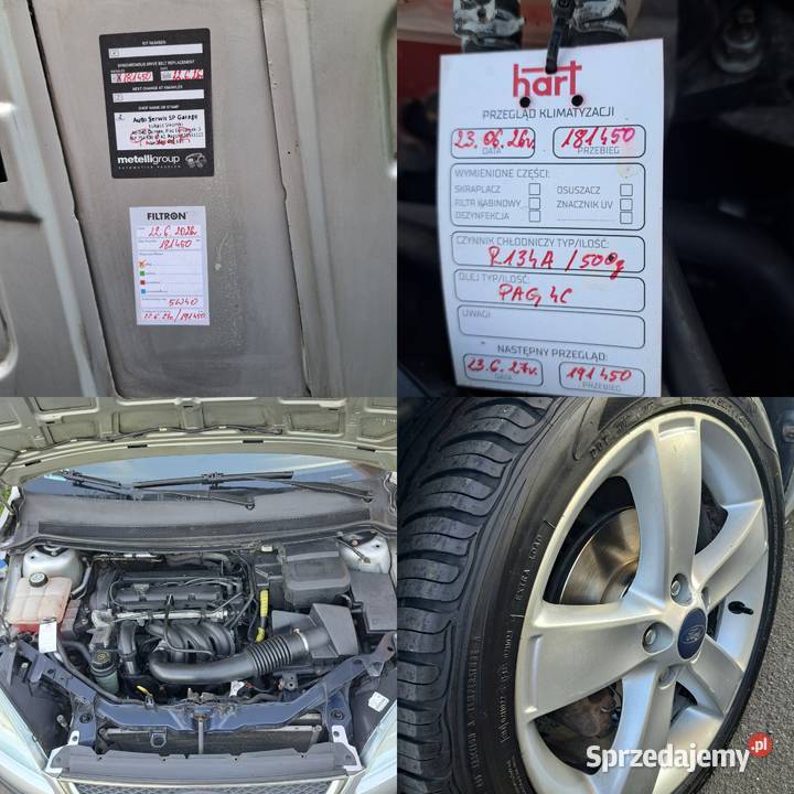 Ford Focus 14 benzyna Prosty silnik Mocno Focus Opole