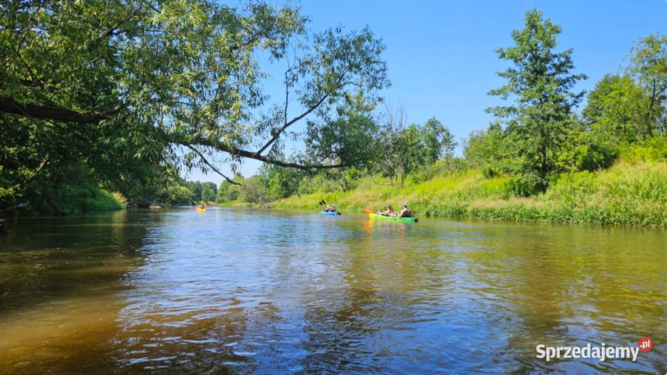 Prywatny las i 175m linii brzegowej rzeki Tanew Sprzedaż Harasiuki