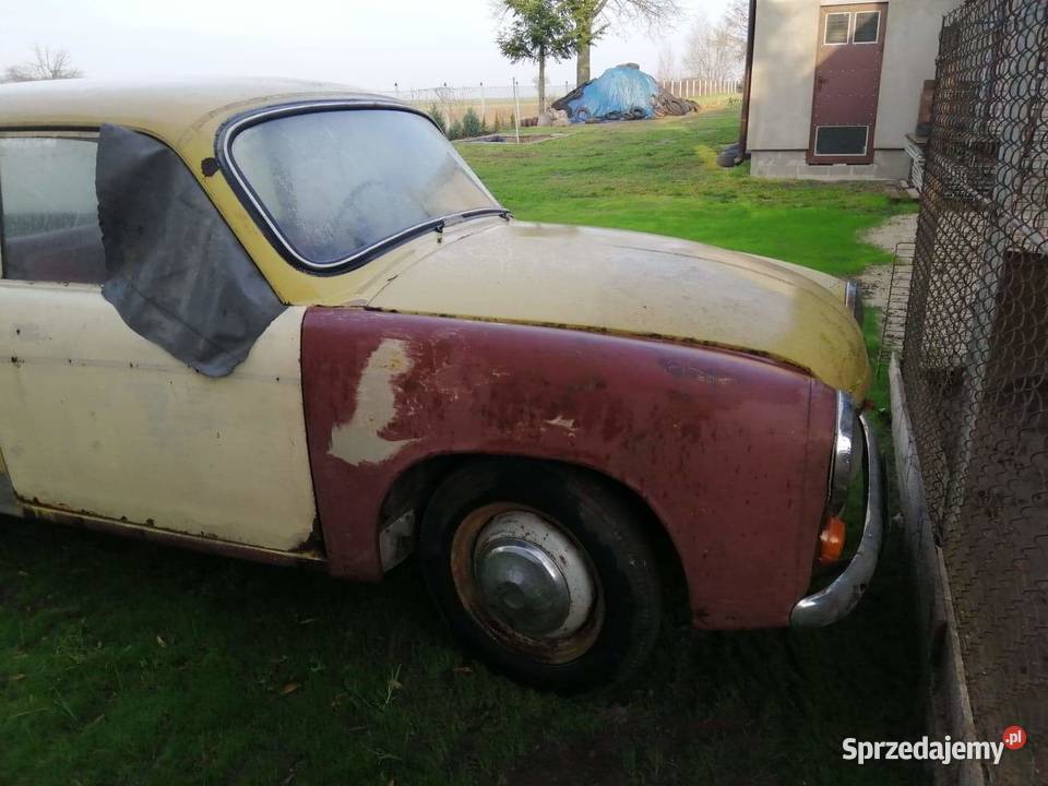 Sprzedam syrena 105 40KM Pozostałe mazowieckie Płocochowo