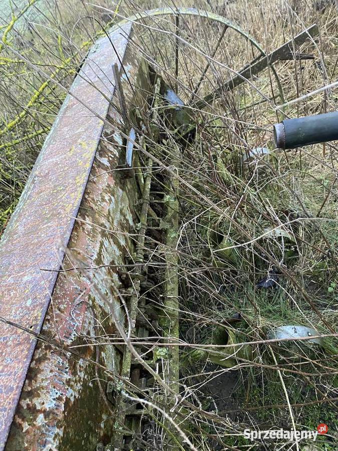 Siewniki konne 3 sztuki Wąwelno sprzedam