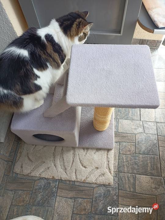 Drapak kota Dla kotów Włocławek