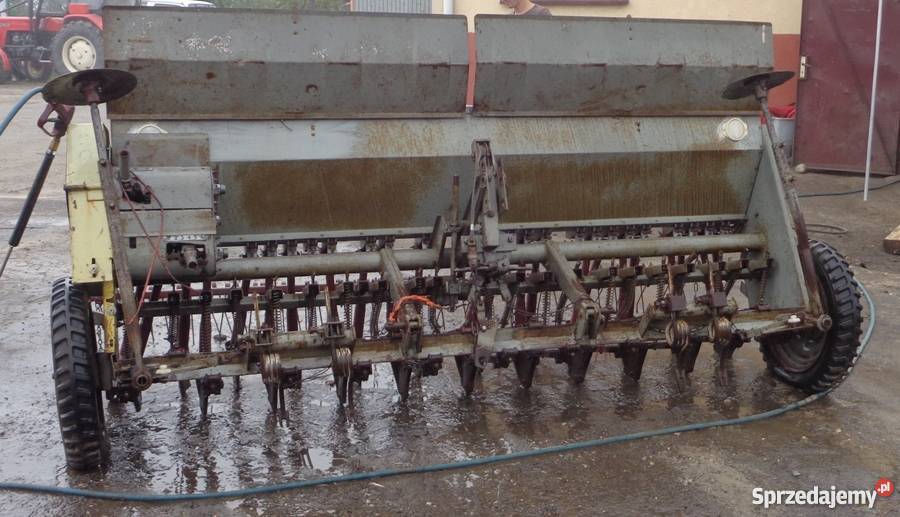 Siewnik Poznaniak podkarpackie Kamionka