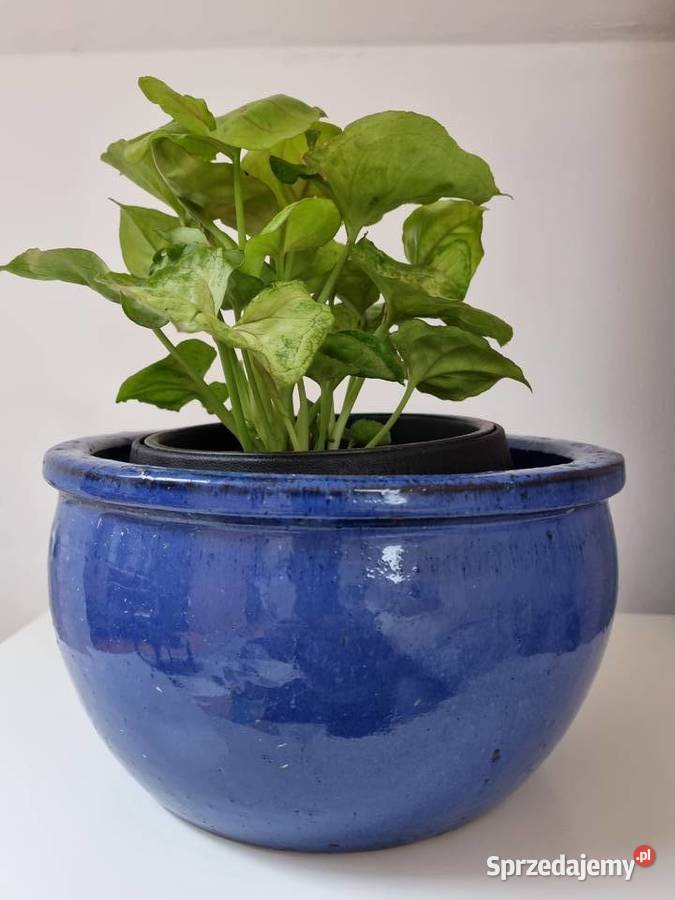 Donica Glazed BAVARIA niebieska ceramiczna 8