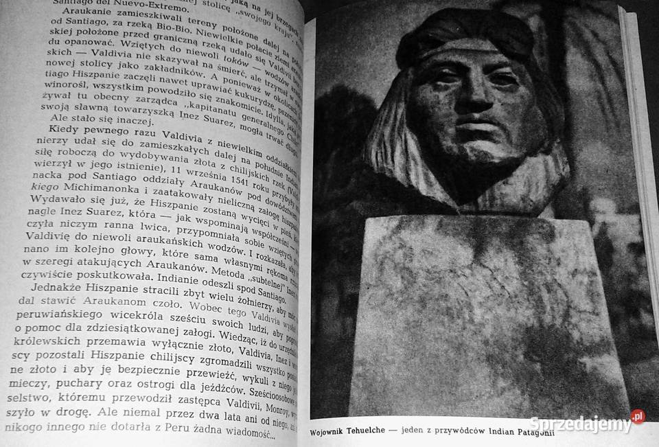 Indiański płomień Miloslav Stingl Chełm