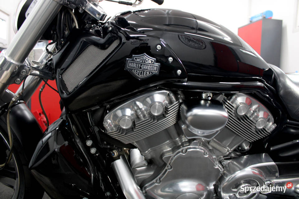 HD VROD MUSCLE w pełnym oryginale Unikat Nowy Dwór Mazowiecki