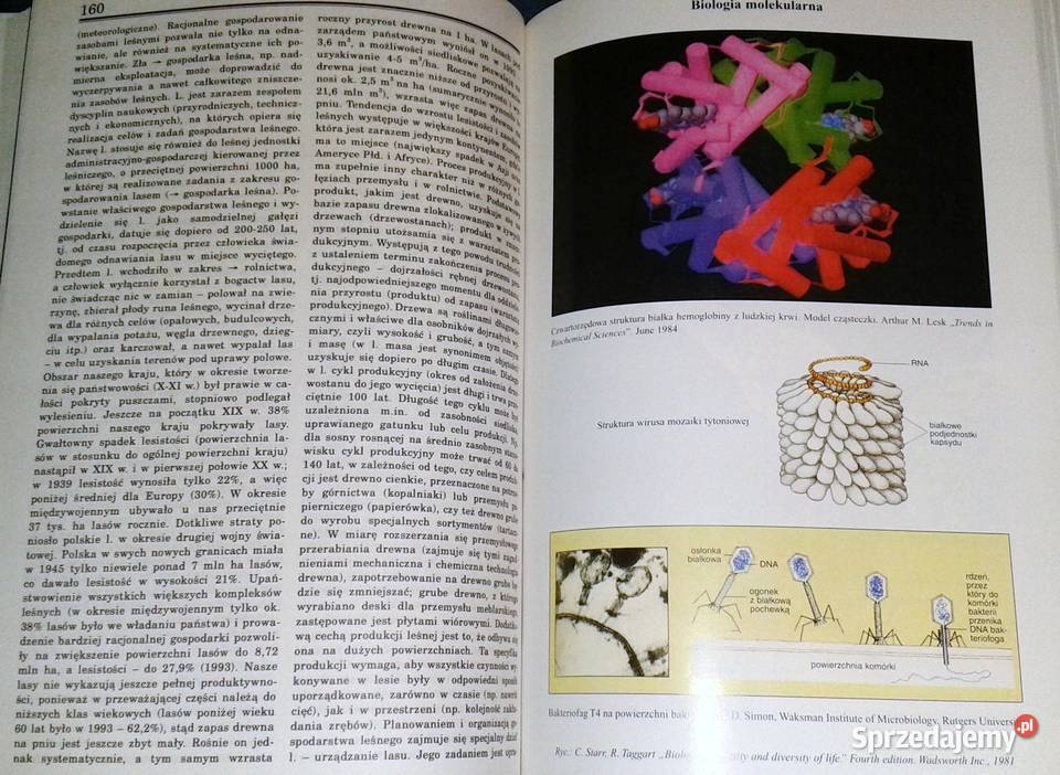 Aktualizacje Encyklopedyczne Życie Tom 3 Rok wydania 1996 lubelskie Chełm