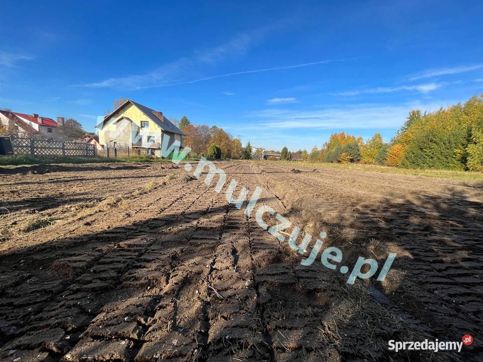 Mulczowanie wgłębne i powierzchowne Karczowanie Rabka-Zdrój