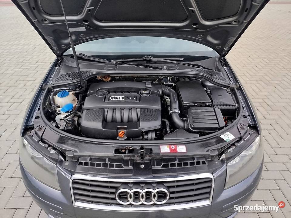 Audi a3 8p 16 Benzyna 2004 komputer pokładowy A3 Świdnik