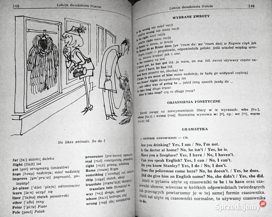 Język angielski początkujących Irena Dobrzycka Rok wydania 1984 Kultura i Rozrywka Chełm sprzedam