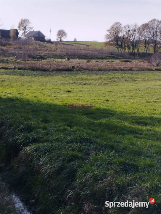 Grunt Pstrążna 70000m2 siedliskowa Sprzedaż