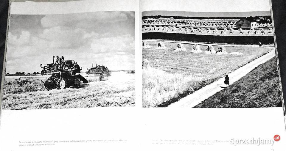 Na polskiej ziemi Kazimierz SaysseTobiczyk Pozostałe Chełm